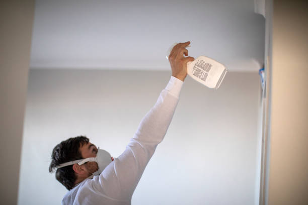 Best Attic Mold Removal  in Osseo, WI