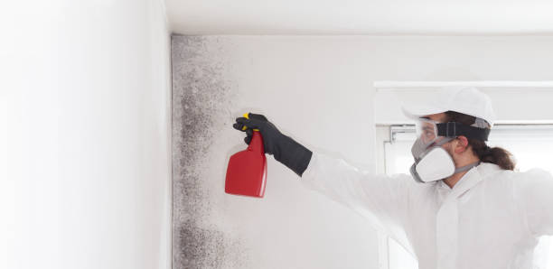 Best Residential Mold Removal  in Osseo, WI