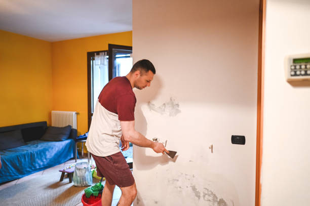 Best Mold Cleaning Services  in Osseo, WI